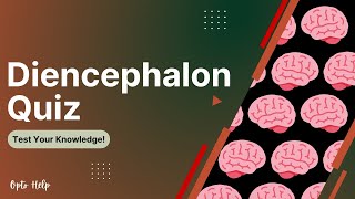 15 Diencephalon Practice Questions  Neuroanatomy [upl. by Rayle]