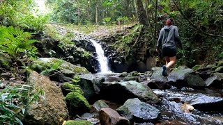 Goldsborough Valley Campground  Wooroonooran National Park Nth Qld 2022 [upl. by Oigufer]