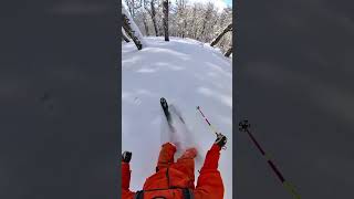 Happy Cruiser 🚢 Patagonia Lenga Tree Skiing Yesterday 😄🌳❄️ [upl. by Assetnoc484]