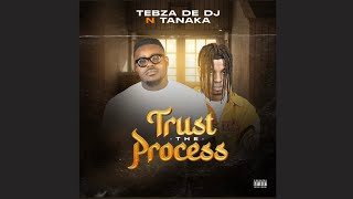 Tebza De DJ  Trust The Process Feat Tanaka Official Audio [upl. by Cynthea]