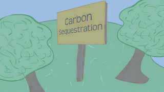 Carbon Sequestration 101 [upl. by Assehc]