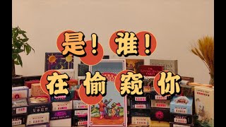 【塔羅牌占卜】是！誰！在偷窺你 [upl. by Edobalo]