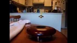 Magnetic Levitation Fun With Magnets [upl. by Nanon]