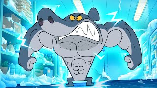 SUPER SHARK  Zig amp Sharko SEASON 3 BEST CARTOON COLLECTION  New Episodes in HD [upl. by Eugeniusz]