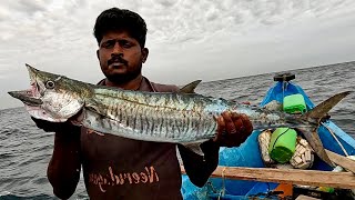 King Fish Caught Using Live Blacktip Trevally Fish [upl. by Hardunn677]