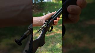 Whats It Like To Shoot The New Crickett 22LR [upl. by Eiltan962]