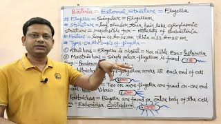 Microbiology 101  Ultrastructure of Bacteria Part 02  Flagella Pili amp Fimbriae  Microbiology [upl. by Nalac]