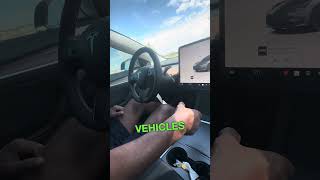 How to Use the Emergency Brake on a Tesla Model 3 or Model Y [upl. by Annaujat]