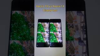 Xperia 1iii vs Xperia 1ii  Display test xperiafan sonyphone sonyxperia [upl. by Zellner809]