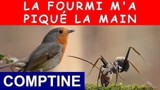 La fourmi ma piqué la main comptine  musique jacquesandré [upl. by Atiuqehc]