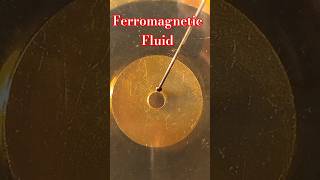 art of ferromagnetic fluid scienceprojectwork scienceprojectideas howtomake physics science [upl. by Tedda31]