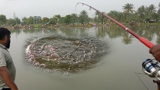 fishing 🎣 amazing fishing vedio 🎣Bangladesh fish hunting video in village fishing [upl. by Ramat132]