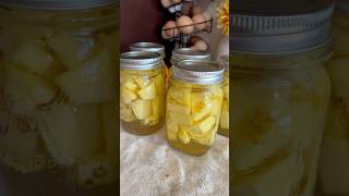 How to can fresh pineapple for long term food preservation🍍 canning homestead pineapple easy [upl. by Robina]