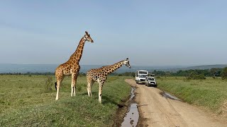 Lake Nakuru and Nakuru National Park [upl. by Naol]