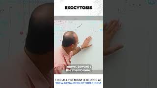 Exocytosis drnajeeb shortvideo drnajeeblectures [upl. by Meryl]