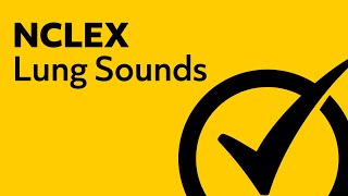 Lung Sounds  NCLEX Review [upl. by Nat]