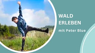 Wissenswertes Natur  Abenteuer Wald  Wald Doku für Kinder von Kindern mit Peter Blue [upl. by Aynad507]