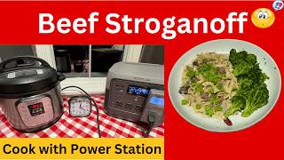 Instant Pot Beef Stroganoff Under 250 Power Station Cooking [upl. by Giefer112]