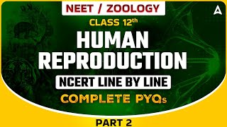 HUMAN REPRODUCTION CLASS 12  NEET 2024  NCERT LINE BY LINE WITH COMPLETE PYQs  ZOOLOGY BY SANKALP [upl. by Olocin]