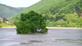 Hochwasser in Eberbach Juni 2013 [upl. by Annavaig836]