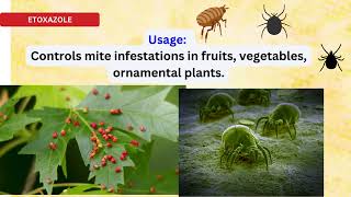 Etoxazole insecticide Mite Control Guide for Farmers for spider mites [upl. by Selinda476]