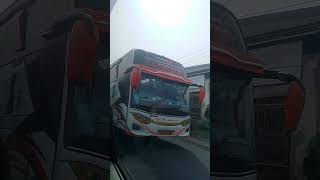 Pesona Bus Pantura Rebog basuri telolet teloletbasuri busmania [upl. by Haron]