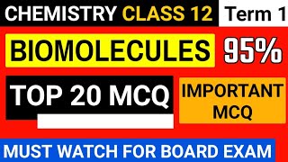 Class 12 Chemistry Biomolecules MCQ Term 1 Chemistry Class 12 Important MCQ [upl. by Kerns]