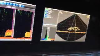 SeapiX Forward Looking 3D Sonar for biomass estimation 2 [upl. by Costa]