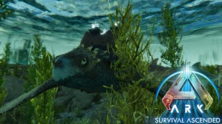 Taming the armored Turtle The Archelon Ark Ascended the Center Ep 25 [upl. by Sirrap]