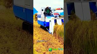 Compact Farming Made EASY with Mini Rice Harvester [upl. by Eeresid704]