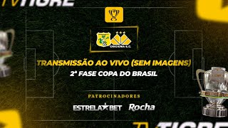 BRASILIENSE x CRICIÚMA  2ª FASE DA COPA DO BRASIL 2024 SEM IMAGENS [upl. by Yeuh]