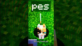 Edit pro psa Majitel Foresttx0 best favorite minecraft love pes calicocat forest [upl. by Ennairac374]