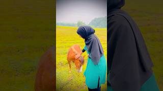 മമ്മുട്ടിയുടെ കുതിര ഇവിടെയുണ്ട്  horse farm  Trained Ricing horse  horse riding [upl. by Trilly456]