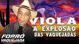 VIOLA A EXPLOSÃO DAS VAQUEJADAS  O MELHOR DA VAQUEJADA [upl. by Nnylrac]