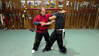 Grandmaster Walter Toch lesson traditionel Wing Chun [upl. by Nallij762]