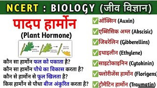 🔥 Biology जीवविज्ञान Class 10thhormoneplant hormones class 10plant hormon class 10 in hindi [upl. by Lenora704]