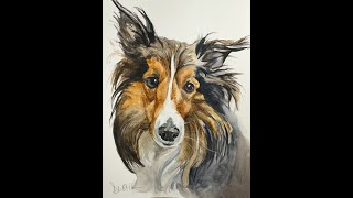 Custom Pet Portrait  Dante [upl. by Aihn292]