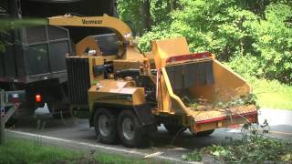 AX19 Vermeer Brush Chipper  Vermeer Tree Care Equipment [upl. by Pubilis111]