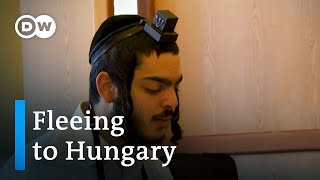 How Jews from Israel are seeking refuge in Hungary  Focus on Europe [upl. by Newo]