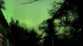 northernlights in Gladwin Michigan May 11 2024 [upl. by Nowell]