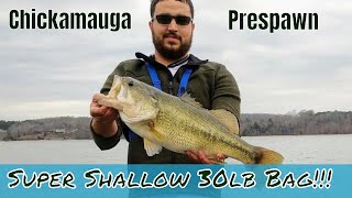 Lake Chickamauga Late Winter 30lb sack Big Bass [upl. by Htaeh]