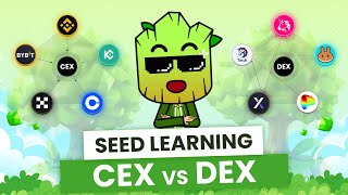 CEX vs DEX How to Choose the Best Exchange for your Crypto  SEED Learning 8 [upl. by Ethel306]