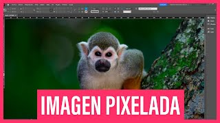 IMÁGENES en INDESIGN PIXELADAS 🔥 SOLUCIÓN [upl. by Adnilahs]