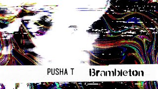 Pusha T  Brambleton Alternate Visualizer [upl. by Adrea]