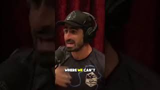 What Happened With Lex Fridman in the Jungle 😮 joerogan lexfridman dman [upl. by Acenom351]