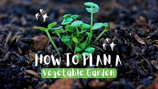 How to Plan a Vegetable Garden  Garden Planning Layout [upl. by Eocsor]