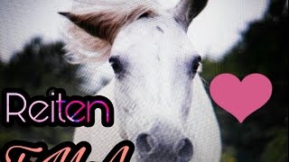 FMA Reiten ❤  Bitte Infobox lesen IamNotPerfect [upl. by Elleyoj]