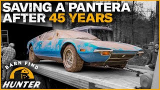 RESCUED DeTomaso Pantera Entombed 45 Years Gets A Second Chance At Life  Barn Find Hunter [upl. by Anaujal970]