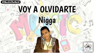 Nigga  Voy A Olvidarte Letra  Lyrics [upl. by Aysahc]