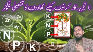 NPK fertilizer  what is NPK fertilizer  Arshad Ali [upl. by Hetti111]